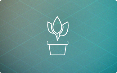 HealthyHome-BluePrints-plants