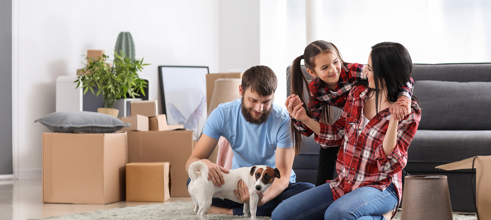 best-basement-dehumidifier