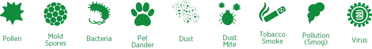 健康的空气图标