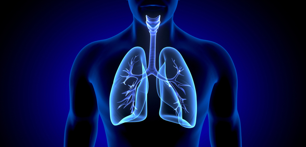 hhresource_nowtimetootakecareoflungs.