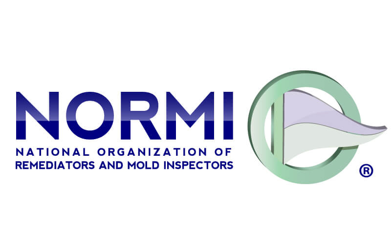 NORMI Logo
