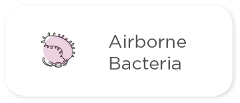 空气细菌